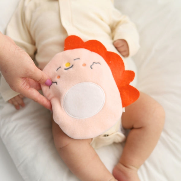 Kiraz Çekirdeği Dolgulu Kolik Bebek Kesesi